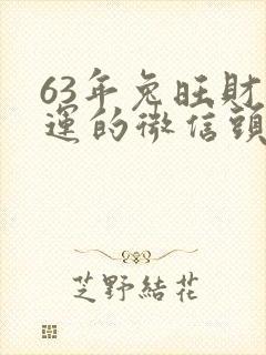 63年兔旺财旺运的微信头像