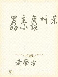 男主角叫叶十三的小说