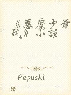 《恶魔少爷别惹我》小说