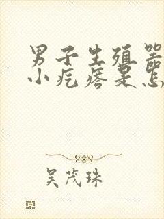 男子生殖器上有小疙瘩是怎么回事