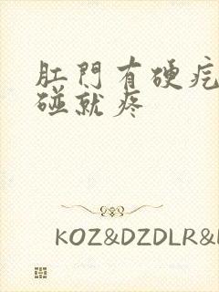 肛门有硬疙瘩一碰就疼