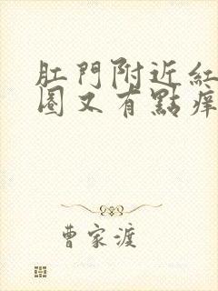 肛门附近红了一圈又有点痒封面