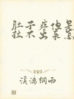 肚子疼但是拉屎拉不出来怎么回事封面