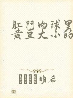 肛门肉球里有个黄豆大小的硬疙瘩