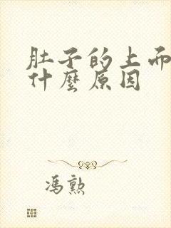 肚子的上面痛是什么原因