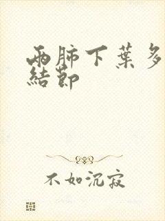 两肺下叶多发微结节封面