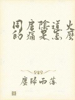 同房阴道火辣辣的痛是怎么回事