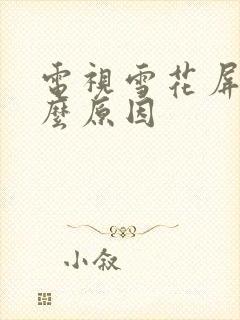 电视雪花屏是什么原因