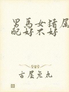 男马女猪属相婚配好不好