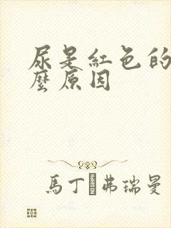 尿是红色的是什么原因封面