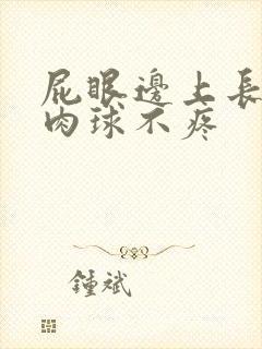 屁眼边上长了个肉球不疼