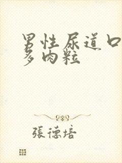 男性尿道口长很多肉粒封面