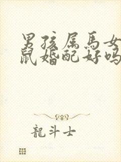 男孩属马女孩属鼠婚配好吗