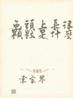 龟头上长很多小颗粒是什么情况