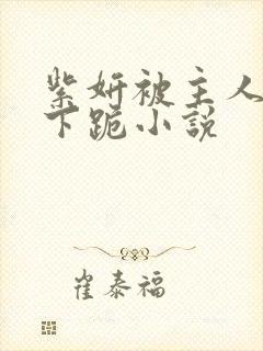 紫妍被主人调教下跪小说封面