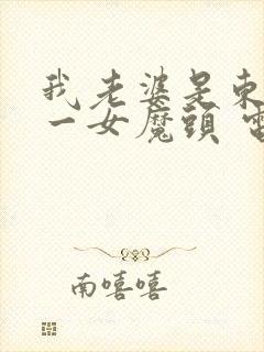 我老婆是东晋第一女魔头 电视剧
