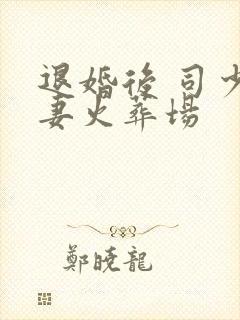 退婚后 司少追妻火葬场