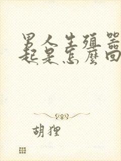 男人生殖器勃不起是怎么回事