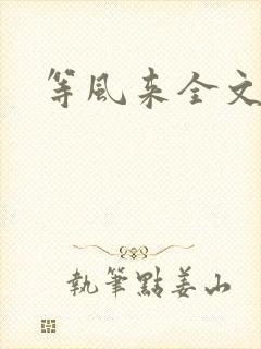 等风来全文阅读封面