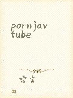 pornjavtube