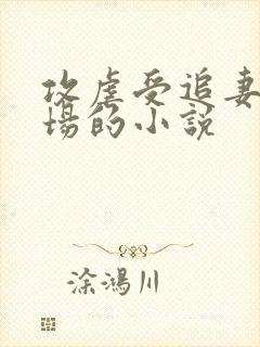 攻虐受追妻火葬场的小说