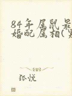 84年属鼠最佳婚配属相(男)封面