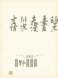 才川夫妻的恋爱情况漫画免费观看封面