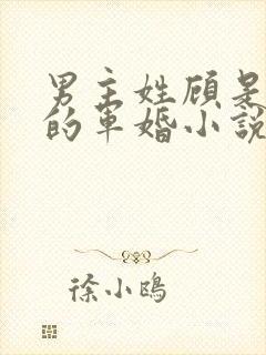 男主姓顾是首长的军婚小说封面