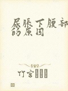 尿胀下腹部隐痛的原因