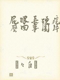 屁眼长硬疙瘩怎么回事图片