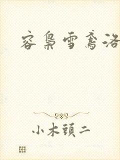 容枭雪鸢洛瑶封面