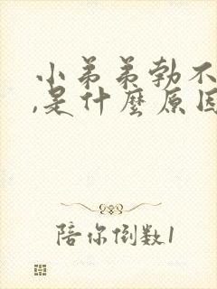 小弟弟勃不起来,是什么原因