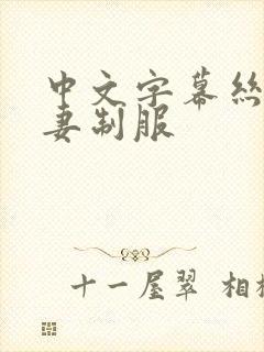 中文字幕丝袜人妻制服