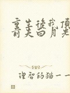 重生后我顶替了前夫白月光把封面