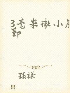 3毫米微小肺结节