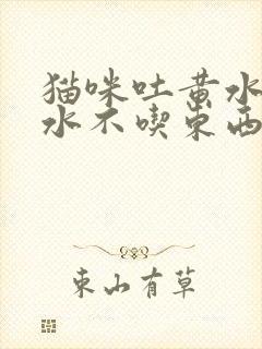 猫咪吐黄水拉黄水不吃东西