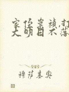 家侄崇祯,打造大明日不落免费完整版封面