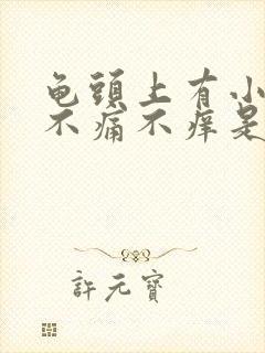 龟头上有小红点不痛不痒是怎么回事