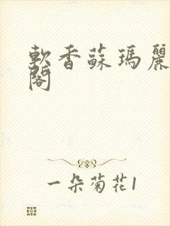 软香苏玛丽笔趣阁