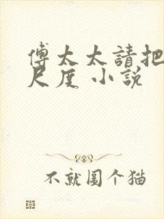 傅太太请把握好尺度 小说