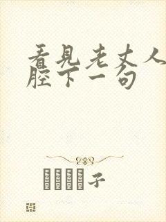 看见老丈人不搭腔下一句