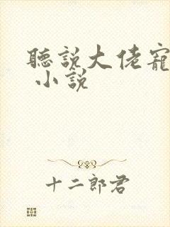 听说大佬宠夫狂 小说封面