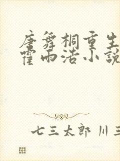 唐舞桐重生补偿霍雨浩小说封面