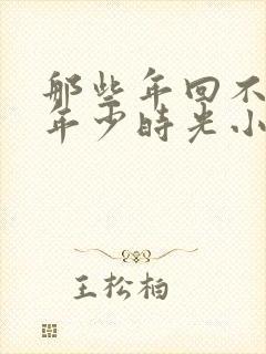 那些年回不去的年少时光小说封面