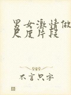 男女激情做爰大尺度片段