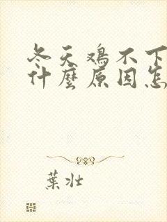 冬天鸡不下蛋了什么原因怎么解决