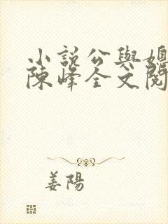 小说公与媳瑶瑶陈峰全文阅读封面