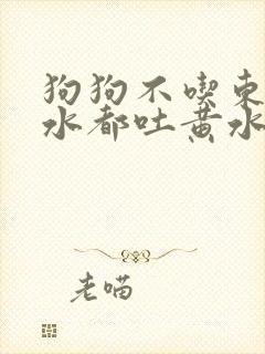 狗狗不吃东西喝水都吐黄水怎么办