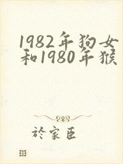 1982年狗女和1980年猴男相配婚姻如何