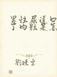 男性尿道口上长了肉粒是怎么回事